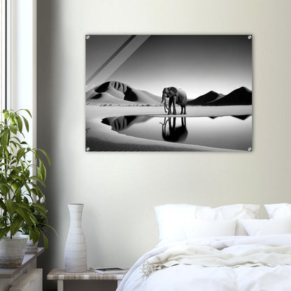 Acrylic Print